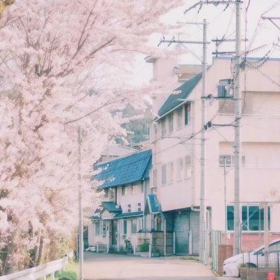 鄂尔多斯房产网